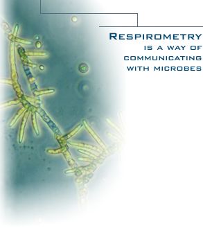 Illustration of respiration and microorganisms.