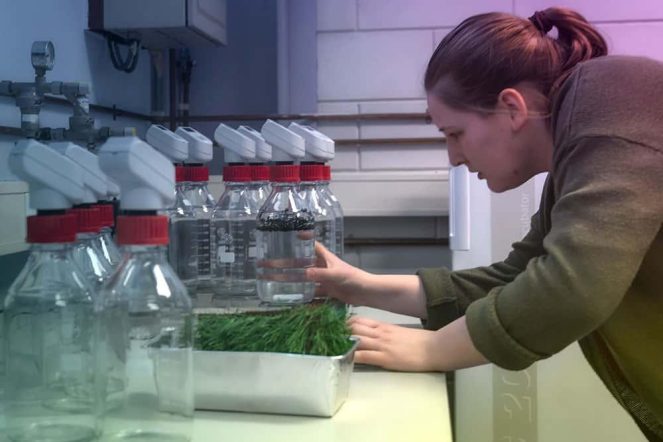 Biodegradable Testing Biodegradability testing process showing materials breaking down by microorganisms in soil and water with supporting laboratory analysis.