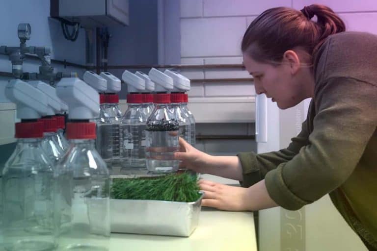 Biodegradable Testing Biodegradability testing process showing materials breaking down by microorganisms in soil and water with supporting laboratory analysis.