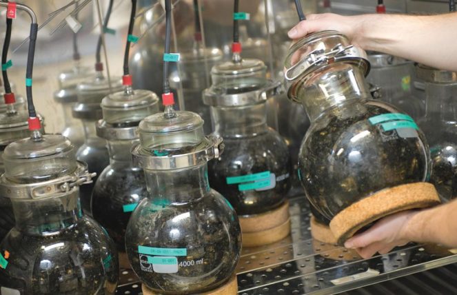 Scientist performing biodegradability certification testing on sustainable materials in an environmental laboratory with certification documentation and analytical equipment.